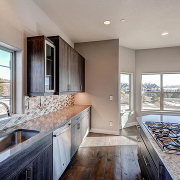 5134 Pine River Trail Castle Rock
