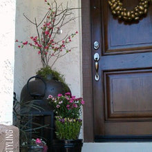 Exterior Ideas