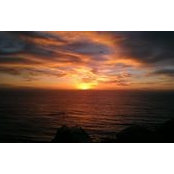 Olive Smith's photo