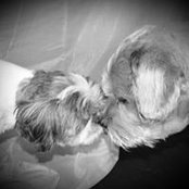 Birgit Hilgert's photo