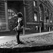 Nancy Wolfe's photo