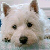 Foto von Loretta Muller Montgomery