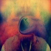 Sebastian Ernst's photo