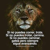 Foto von Manuel Cortes Perez