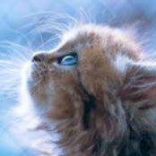 Jo Vance's photo
