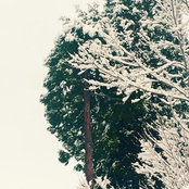 Charlee Chalker's photo