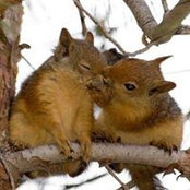Suzan Bresch's photo