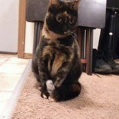 Paula Eicher Atwood's photo