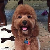 Carolyn Bresnahan's photo