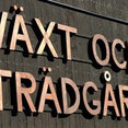 Växt och Trädgårds profilbild