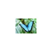 Farzana Malik's photo