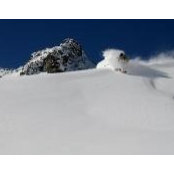 Brian Earle's photo