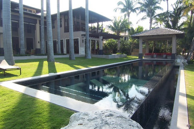 Eclectic pool photo in Miami