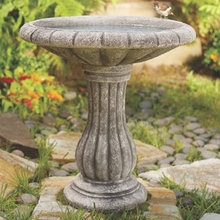 Landscape Ideas