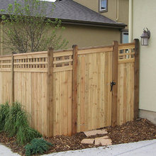 Backyard Project