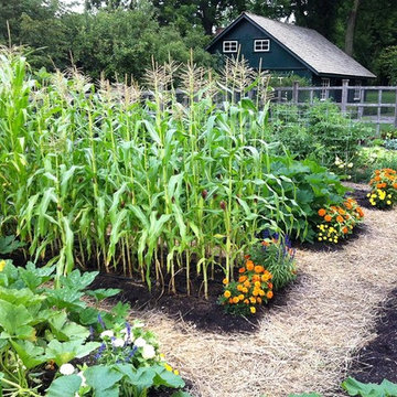 Tradtional Vegetable Gardens, Herb and Flowers