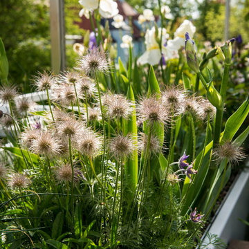 Gartenprofi verwandelt Münchner Dachterrasse zum Blütenmeer