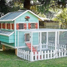 Chicken Coops