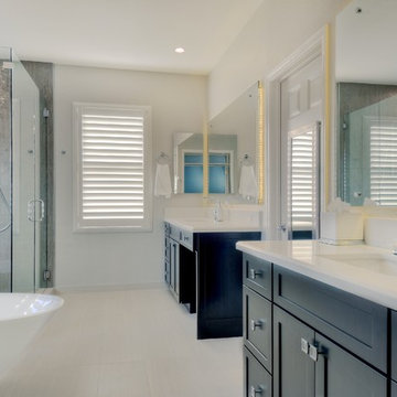Amazing Modern Master Bath