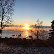 Lisa Leivermann-Jones's photo