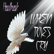Staci Sturdivant's photo