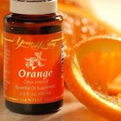 Orange Wongs foto