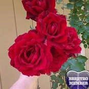 Natalie Shelton Sanders's photo