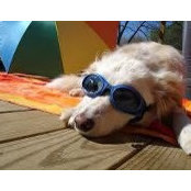 Photo de Summer Time