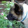 jeany_howells