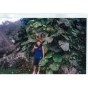 Giovanni Fortugno's photo