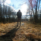 Diego Sanchez's photo