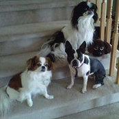 Heather Johnstone's photo