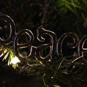 Shannon Wyatt's photo