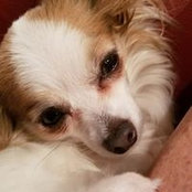 Julie Pepin's photo