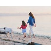 Amy Dempsey's photo