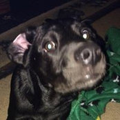 Tammy Callahan's photo