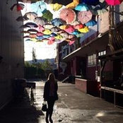 Sabine Ha's photo