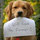 kitsy_lecompte