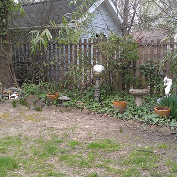 DC Back Yard Re-Programming