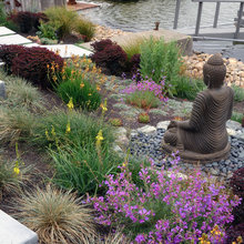 Drought Tolerant Plants and Ideas