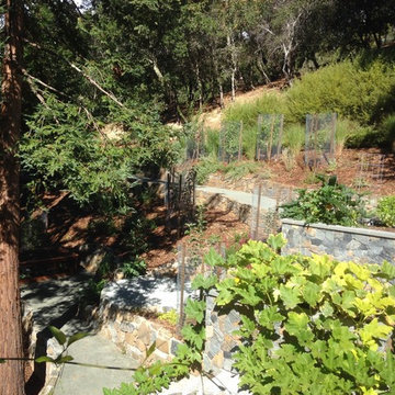 Ross Terraced Vegetable Garden - After Photo