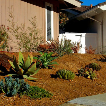 Laguna Niguel 2014