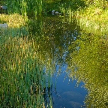 Transformative Water