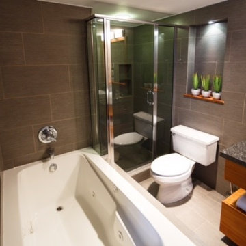 Ensuite Bathroom - Transitional
