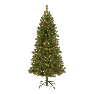 7 5 Canadian Grande Fir Tree Traditional Christmas Trees By 7 5 Canadian Grande Fir Tree