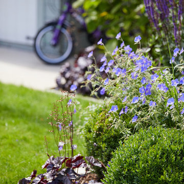 Contemporary garden, Harpenden
