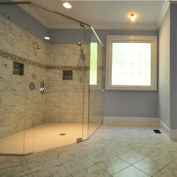 Level entry shower