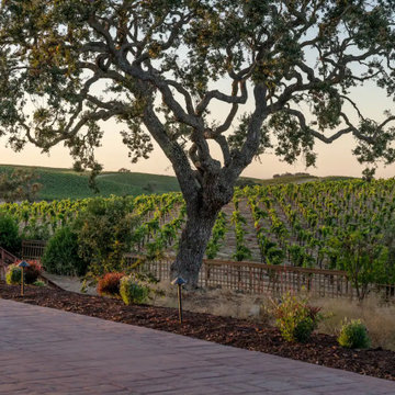 Landscaping vineyard views