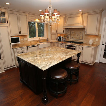 Traditional Full Home Remodel in Darien, IL