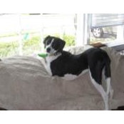 Kathy Rohde's photo